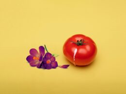 red tomato beside red flower