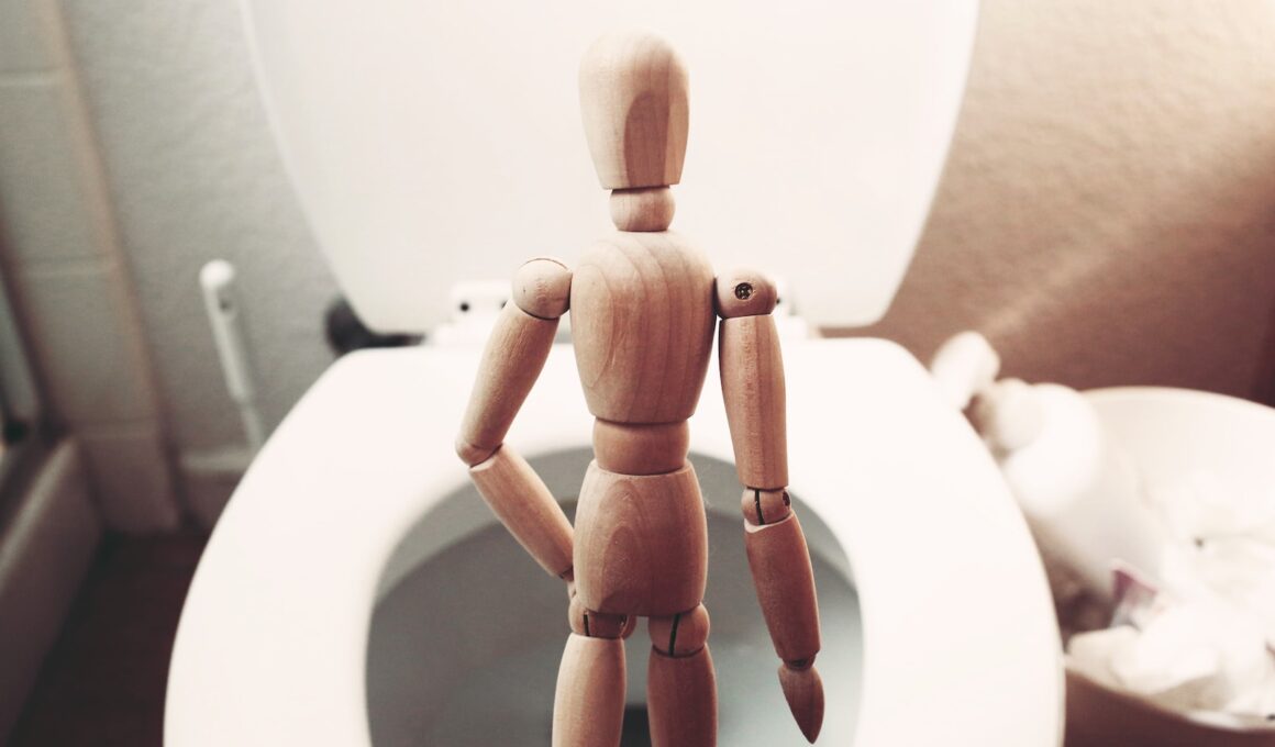 brown wooden mannequin on white ceramic toilet bowl